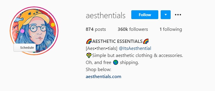 Aesthentials Instagram homepage