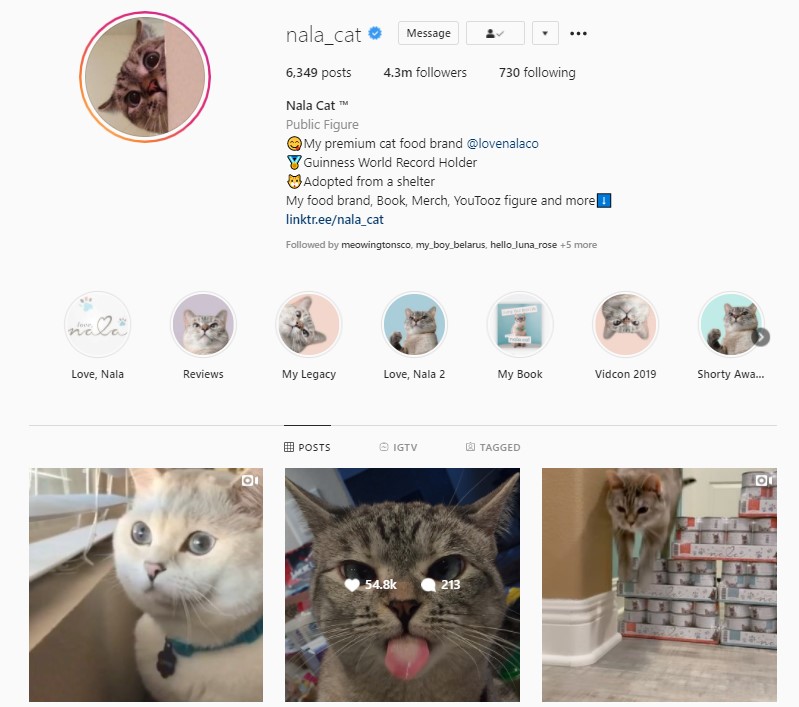 An Instagram account with good followers' engagement rates