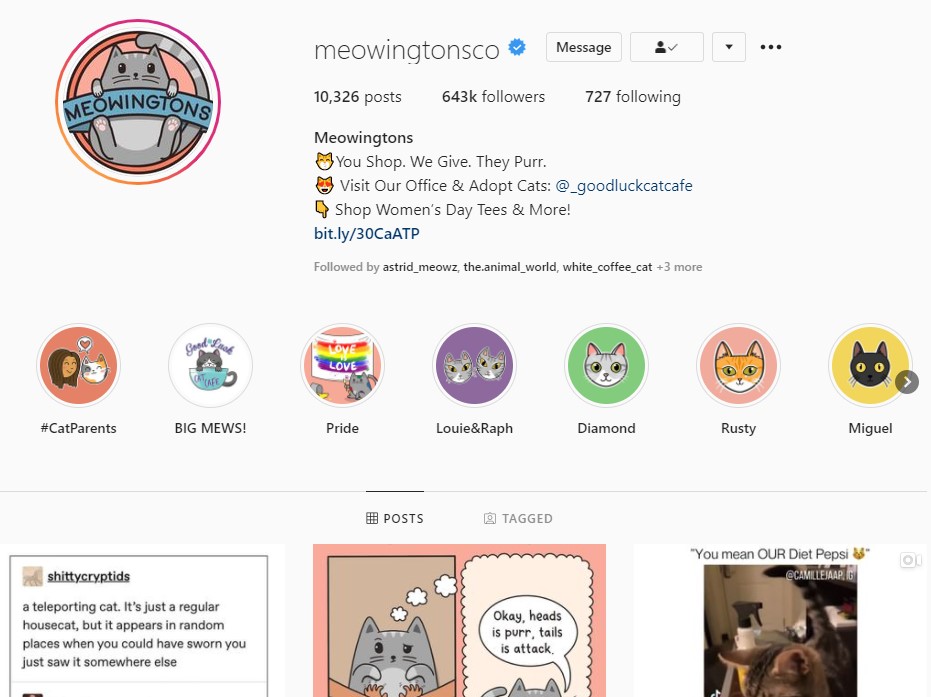 An Instagram account that sells online products to its followers
