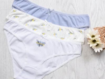 Underwear & panty print-on-demand companies featured image